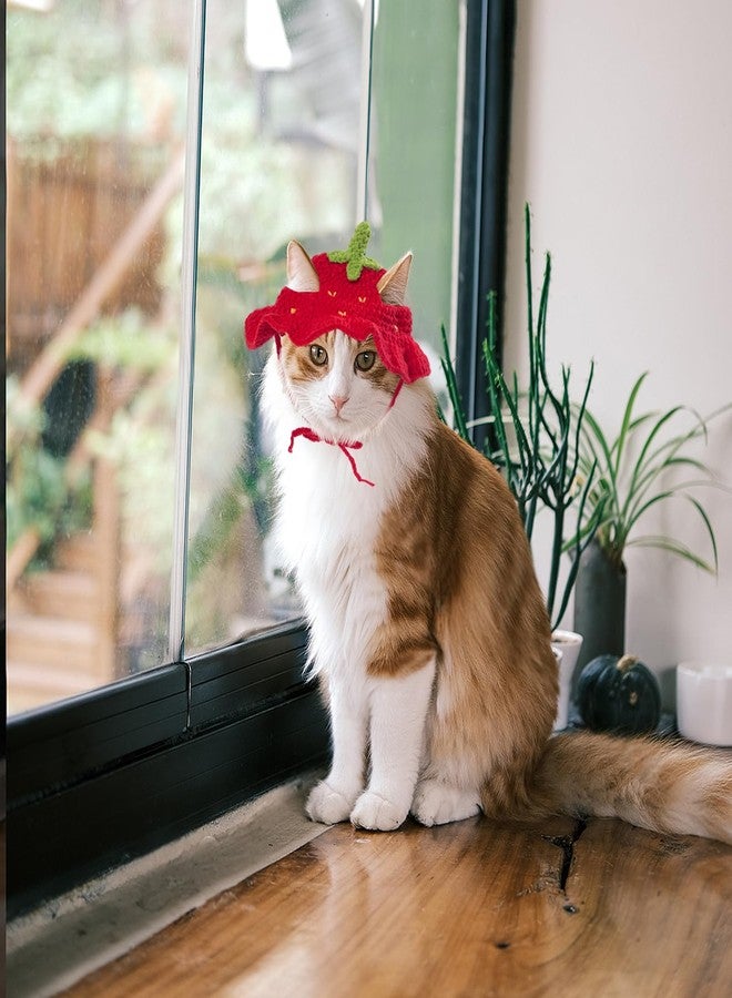 Clofiak Strawberry Cat Hats for Cats Only, Cute Cotton Knitted Clothes for Birthday Party, Christmas Puppy Hat for Small Pets - Image 4